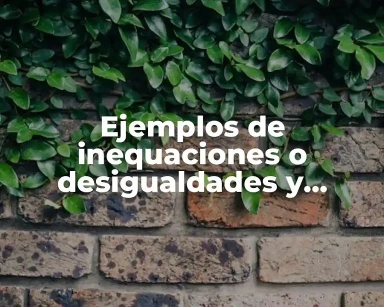 Ejemplos de inequaciones o desigualdades y Significado