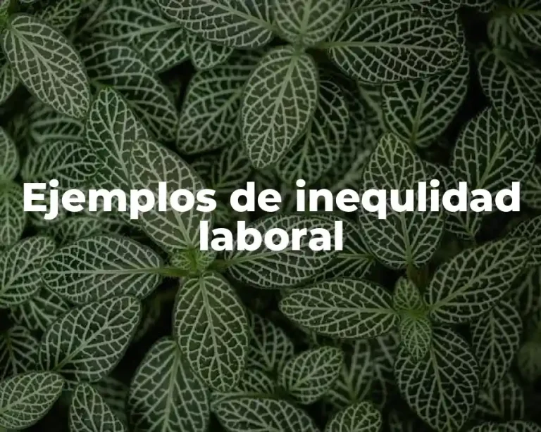 Ejemplos de inequlidad laboral