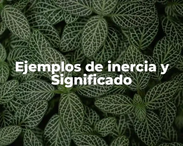 Ejemplos de inercia y Significado