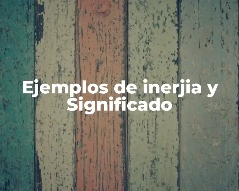 Ejemplos de inerjia y Significado