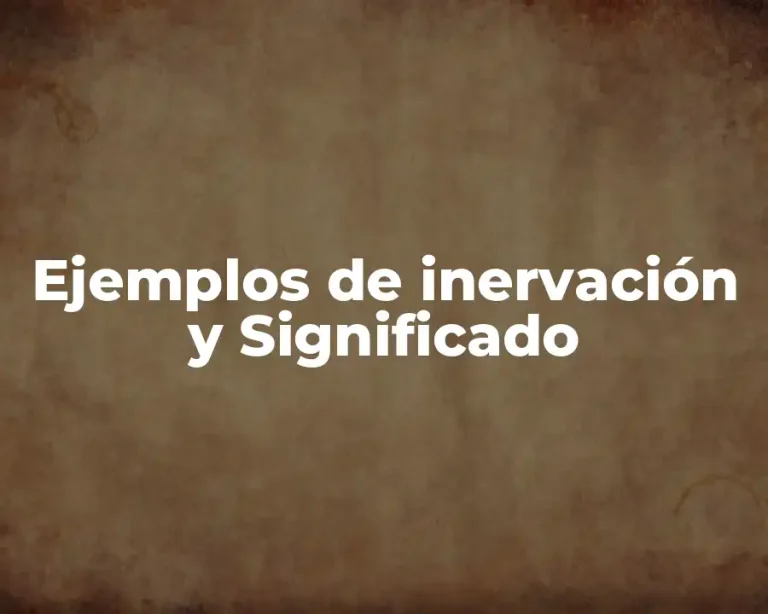 Ejemplos de inervación y Significado