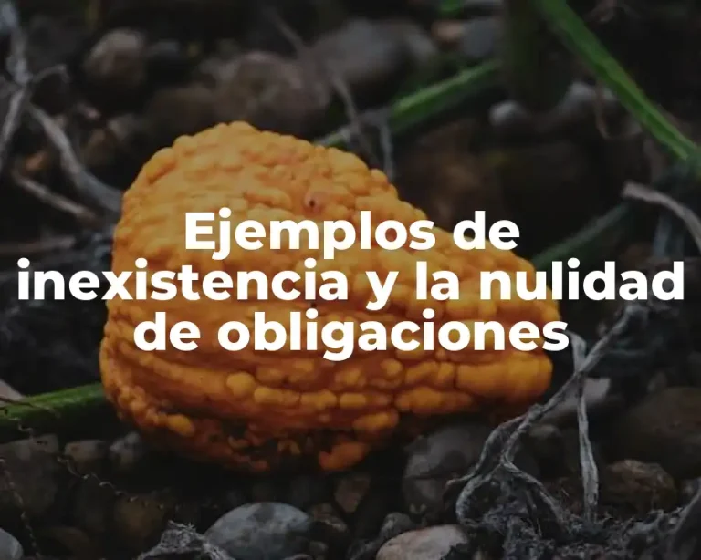 Ejemplos de inexistencia y la nulidad de obligaciones