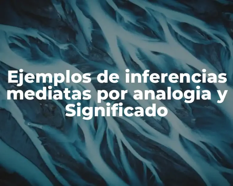 Ejemplos de inferencias mediatas por analogia y Significado