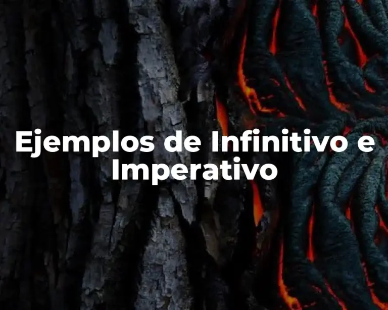 Ejemplos de Infinitivo e Imperativo