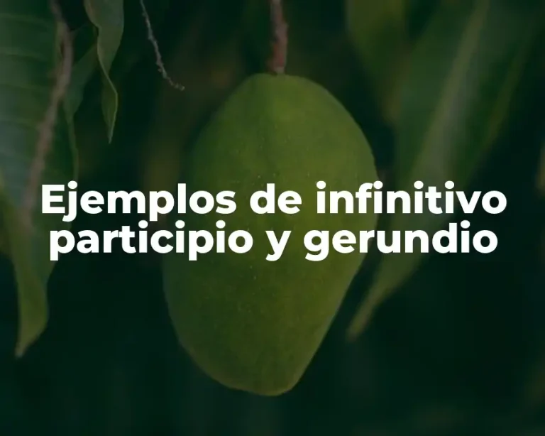 Ejemplos de infinitivo participio y gerundio