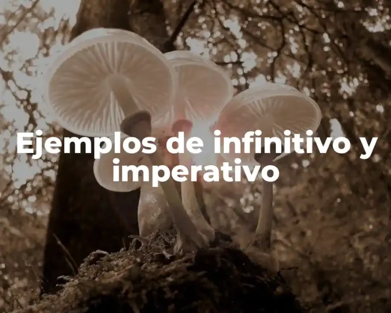 Ejemplos de infinitivo y imperativo
