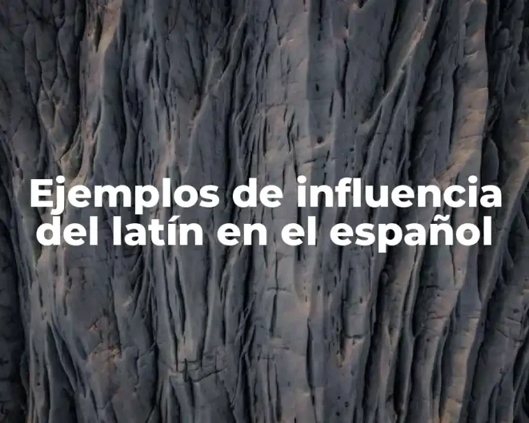Ejemplos de influencia del latín en el español