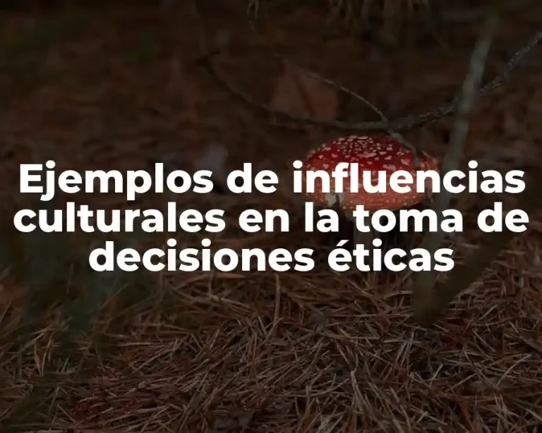 Ejemplos de influencias culturales en la toma de decisiones éticas