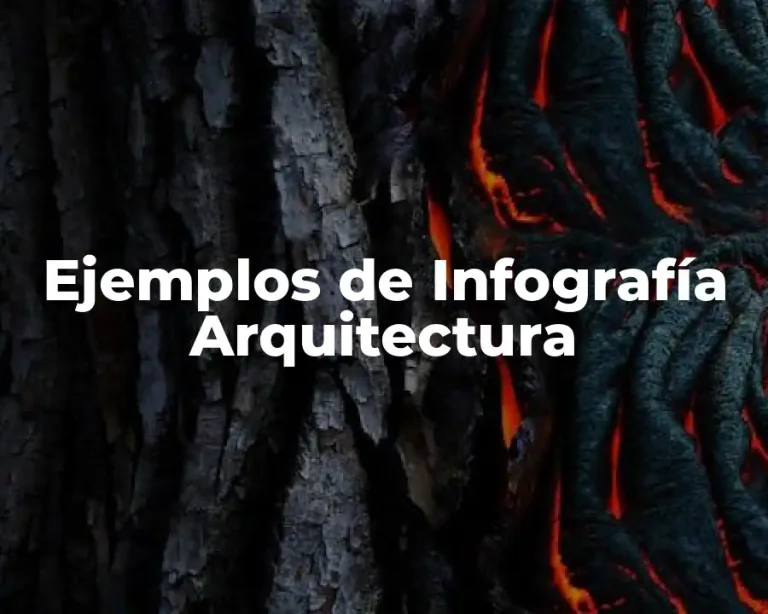 Ejemplos de Infografía Arquitectura