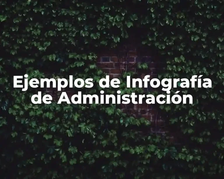 Ejemplos de Infografía de Administración