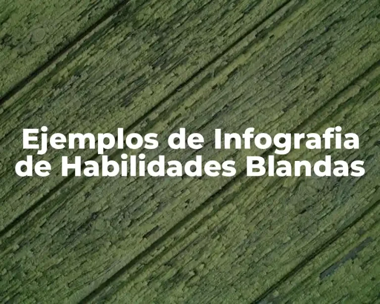 Ejemplos de Infografia de Habilidades Blandas