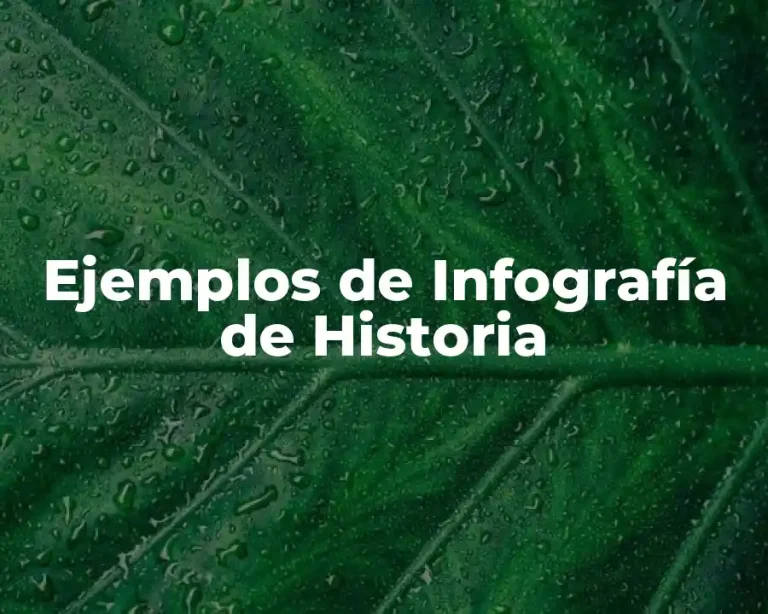 Ejemplos de Infografía de Historia
