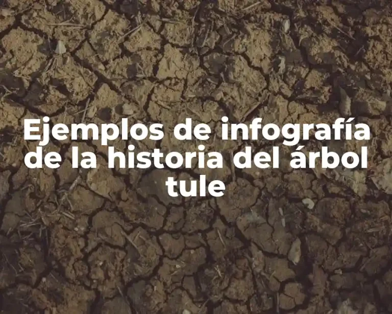 Ejemplos de infografía de la historia del árbol tule