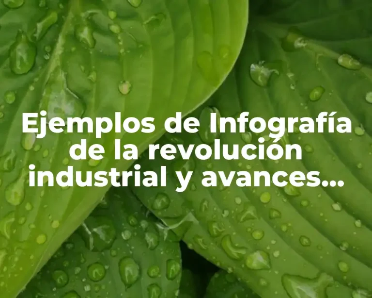 Ejemplos de Infografía de la revolución industrial y avances tecnológico