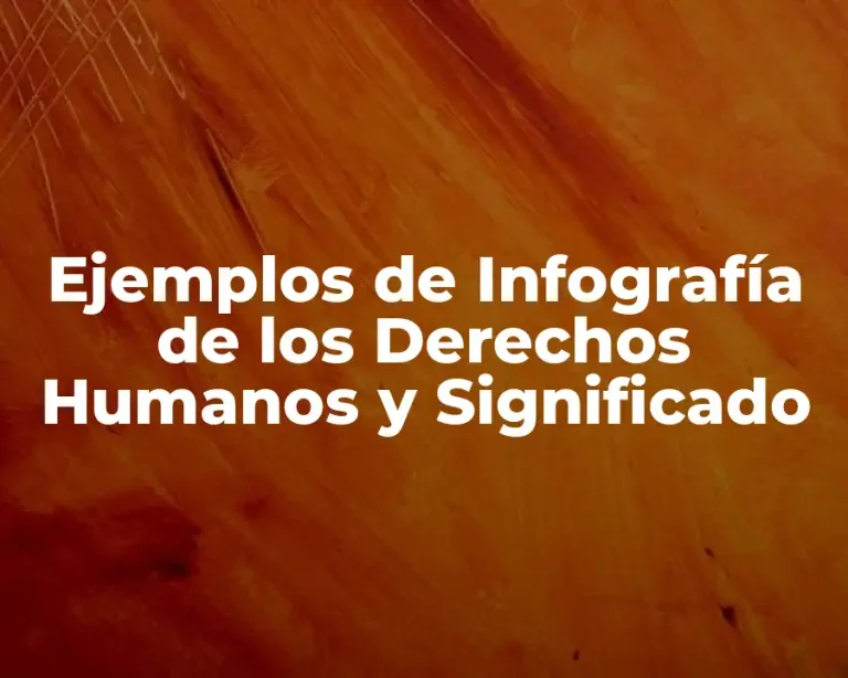 Ejemplos de Infografía de los Derechos Humanos y Significado
