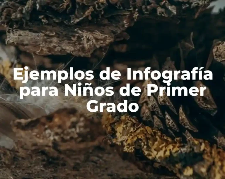 Ejemplos de Infografía para Niños de Primer Grado