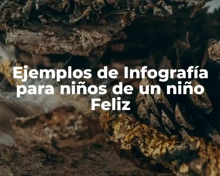 Ejemplos de Infografía para niños de un niño Feliz