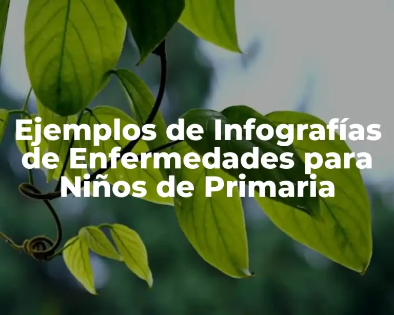 Ejemplos de Infografías de Enfermedades para Niños de Primaria
