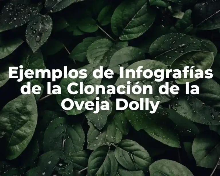 Ejemplos de Infografías de la Clonación de la Oveja Dolly
