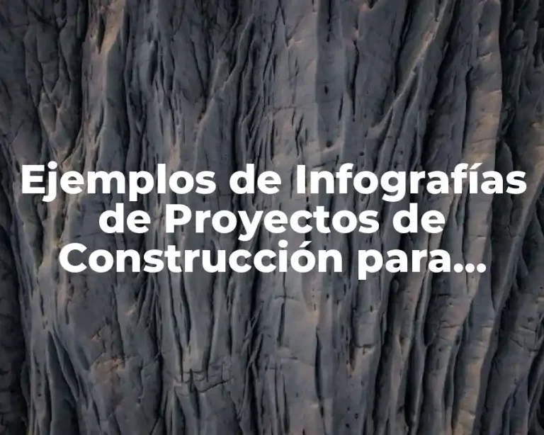 Ejemplos de Infografías de Proyectos de Construcción para Hospitales