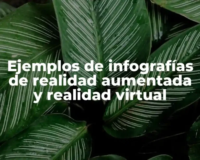 Ejemplos de infografías de realidad aumentada y realidad virtual