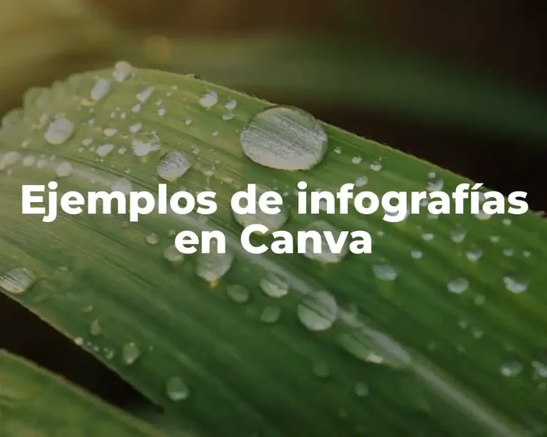 Ejemplos de infografías en Canva