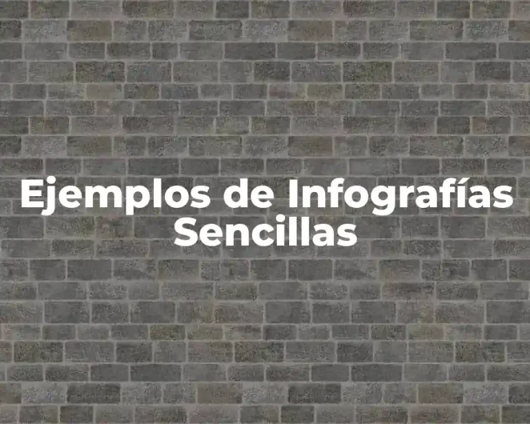 Ejemplos de Infografías Sencillas