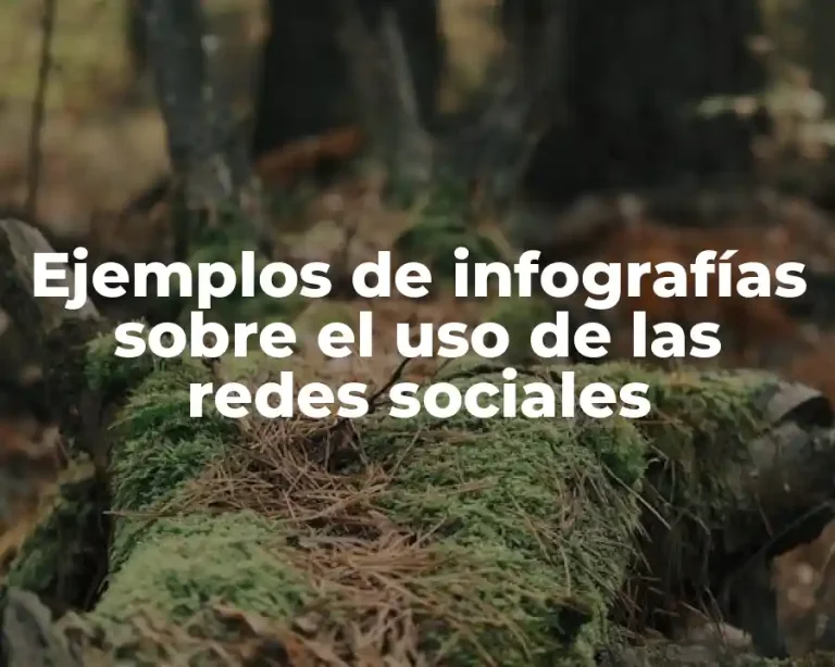 Ejemplos de infografías sobre el uso de las redes sociales