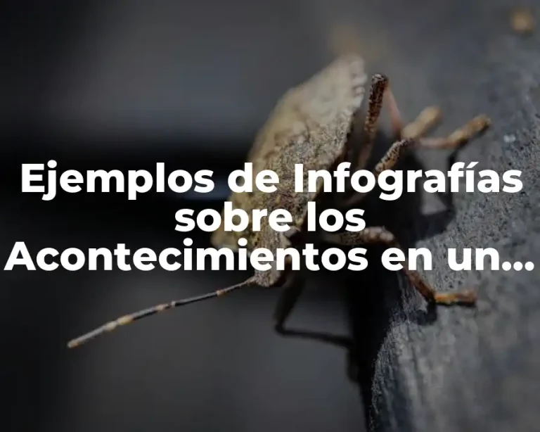 Ejemplos de Infografías sobre los Acontecimientos en un Pueblo