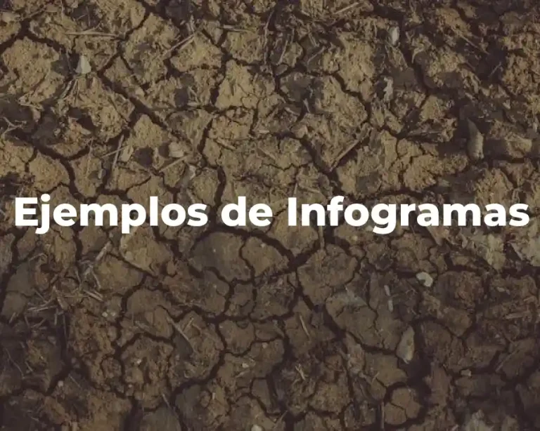 Ejemplos de Infogramas