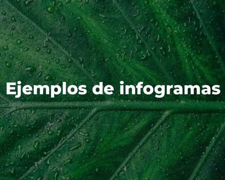 Ejemplos de infogramas