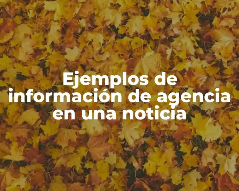 Ejemplos de información de agencia en una noticia