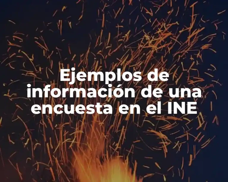 Ejemplos de información de una encuesta en el INE