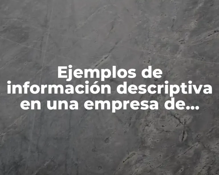 Ejemplos de información descriptiva en una empresa de campo tecnico