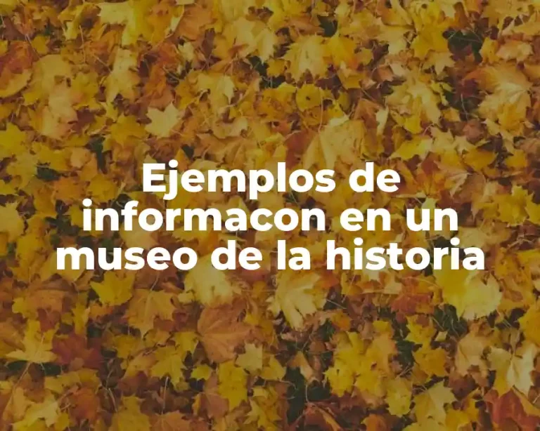 Ejemplos de informacon en un museo de la historia