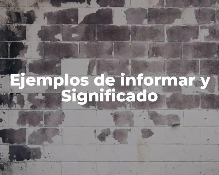 Ejemplos de informar y Significado