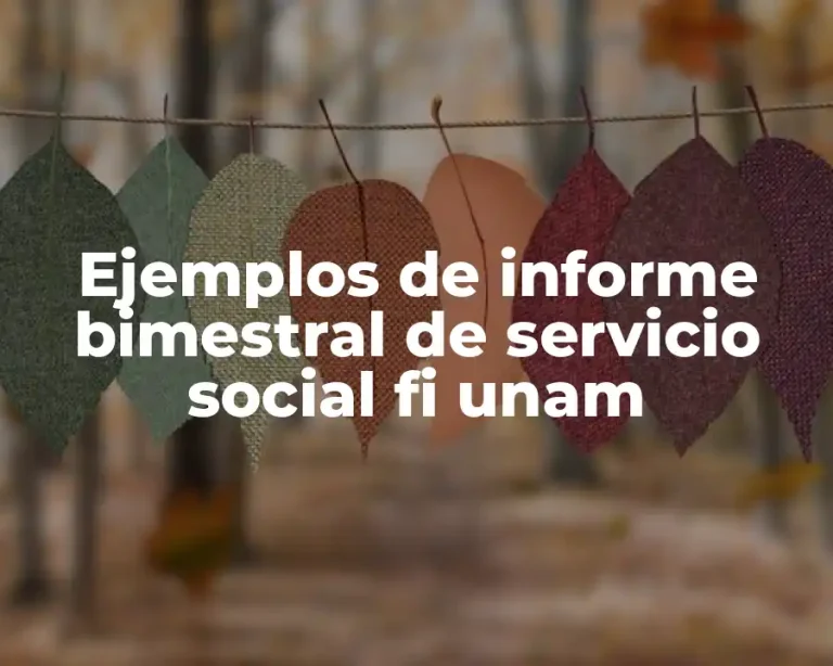 Ejemplos de informe bimestral de servicio social fi unam