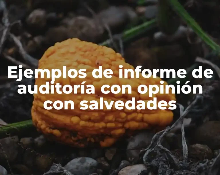Ejemplos de informe de auditoría con opinión con salvedades