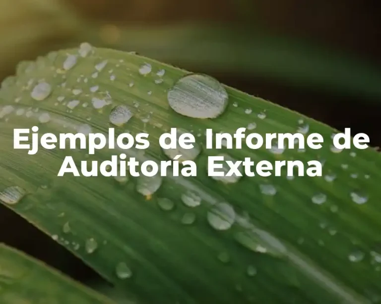 Ejemplos de Informe de Auditoría Externa