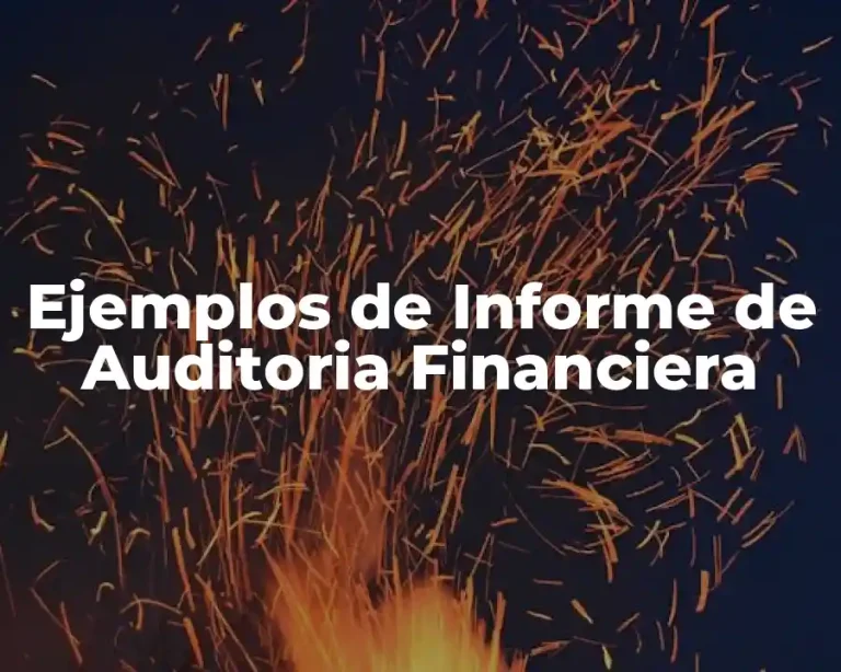 Ejemplos de Informe de Auditoria Financiera