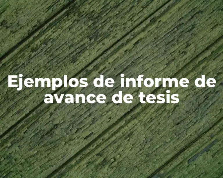 Ejemplos de informe de avance de tesis