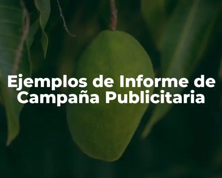Ejemplos de Informe de Campaña Publicitaria