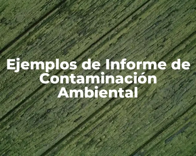 Ejemplos de Informe de Contaminación Ambiental