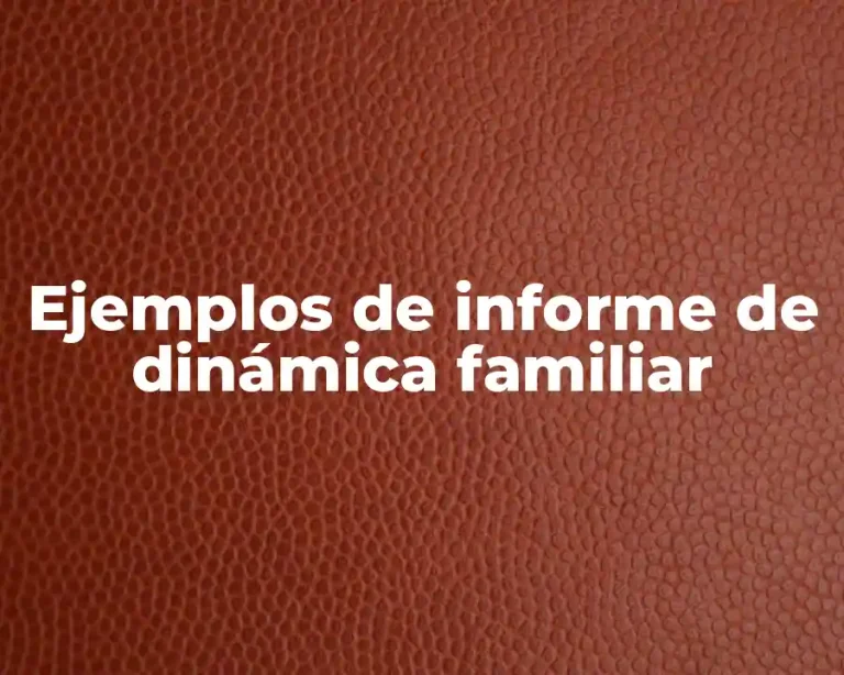 Ejemplos de informe de dinámica familiar
