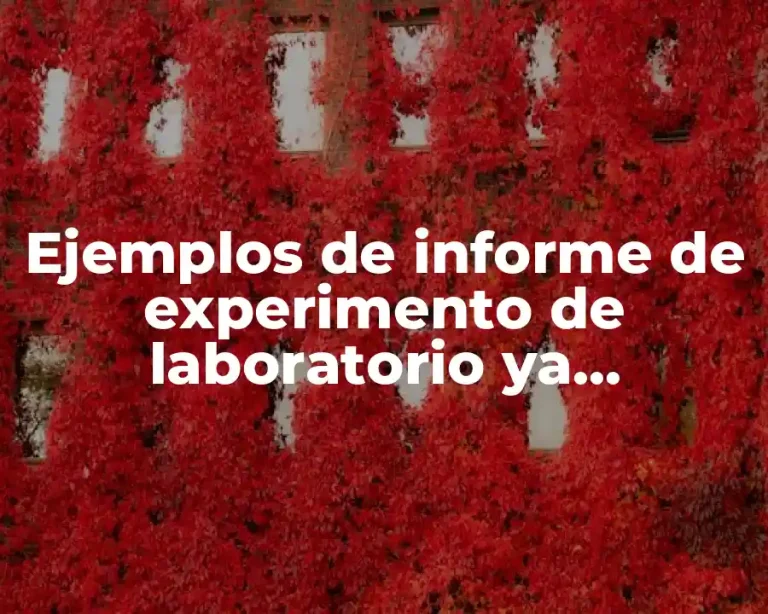 Ejemplos de informe de experimento de laboratorio ya realizados y Significado