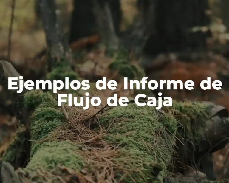 Ejemplos de Informe de Flujo de Caja