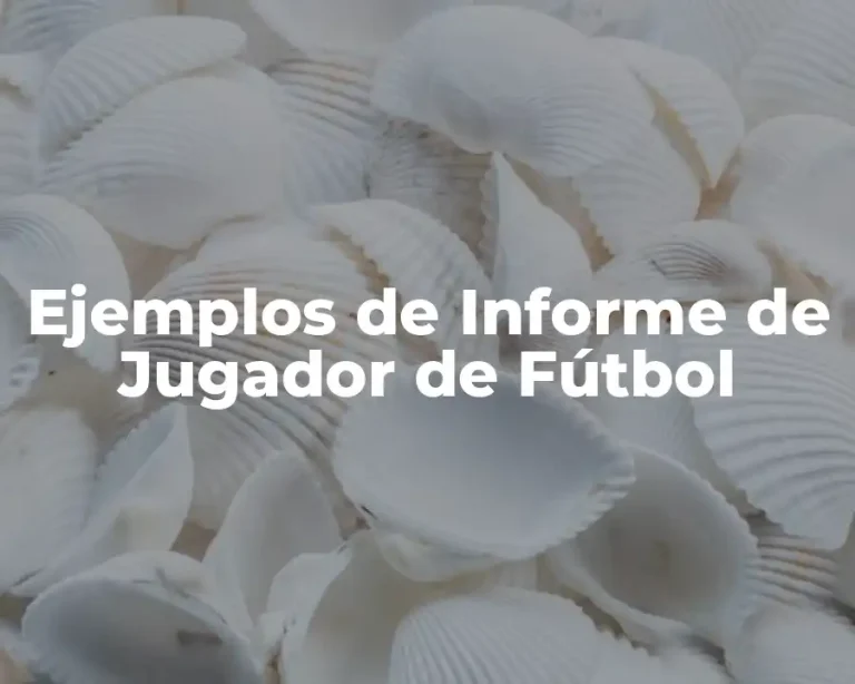 Ejemplos de Informe de Jugador de Fútbol