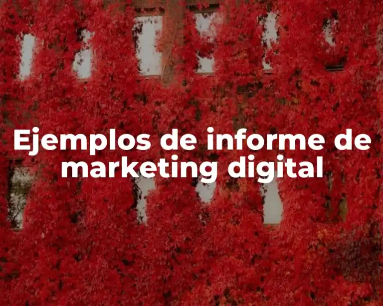 Ejemplos de informe de marketing digital