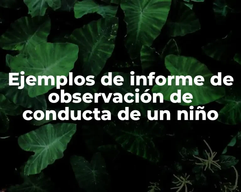 Ejemplos de informe de observación de conducta de un niño