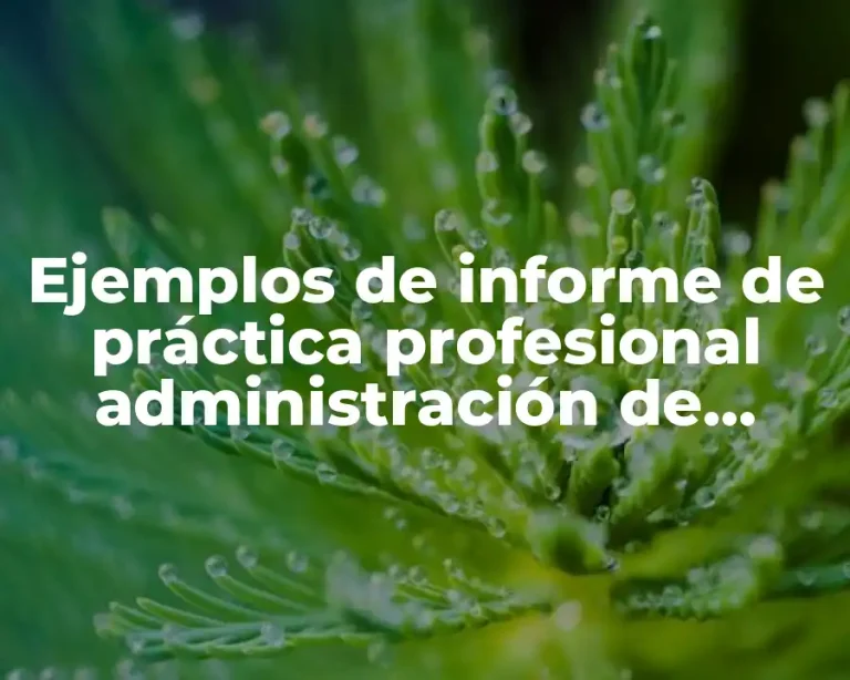 Ejemplos de informe de práctica profesional administración de empresas